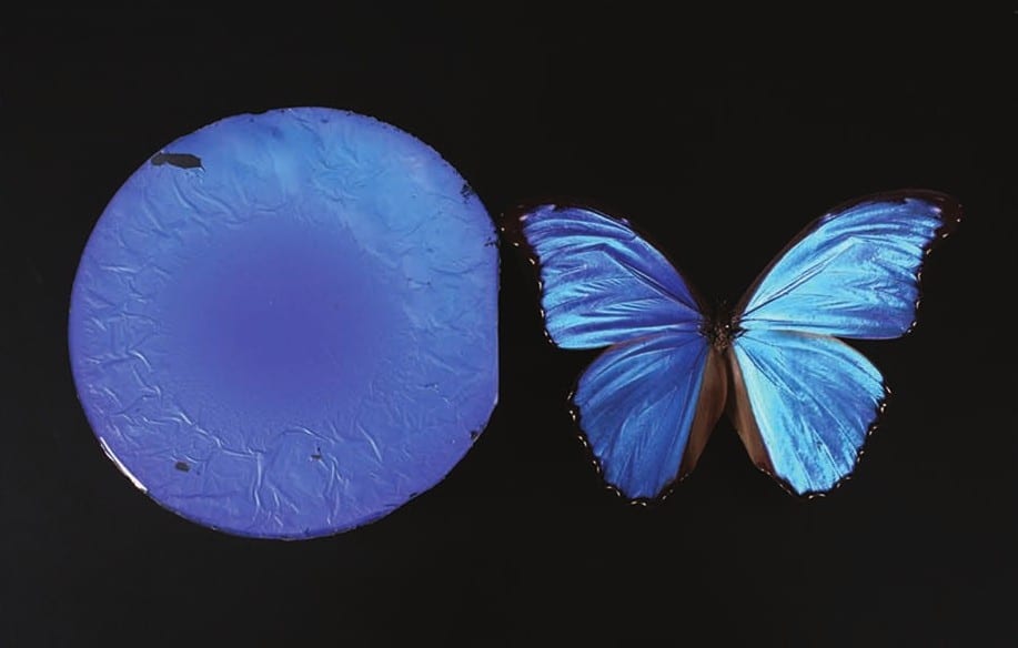 Mimicking Butterflies to Make Silica Thin Films