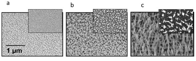 Nanotexturing of transparent polymers with plasma etching