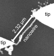 DNA as a Future Component of Electronics