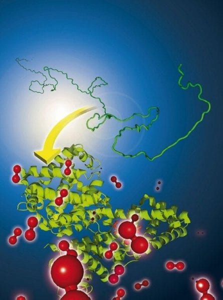 Solving the Mystery of Protein Folding