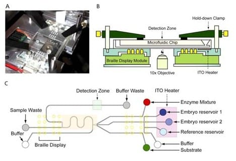 Enhancing fertility by microfluidics and biophotonics