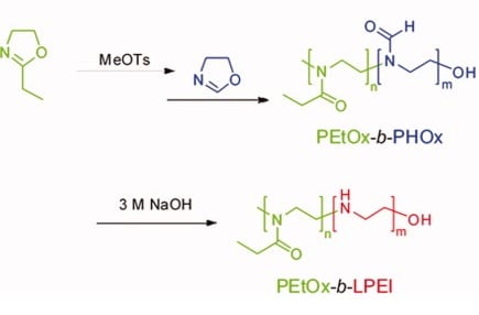Schematic representation of the synthesis of PEtOx-b-LPEI.