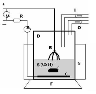 Monitored gluthathion oxidation in argon plasma