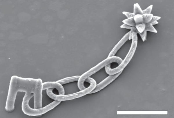 New reagent for multiphoton lithography greatly extends available shapes