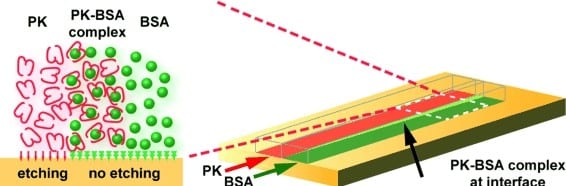 Enzymes Dig Channels: Bio-Etching for Nanostructured Surfaces