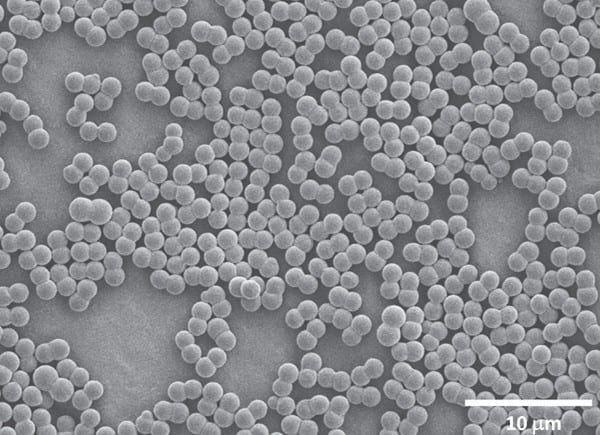 Effects of Electric Fields on Collodial Dimer Formation