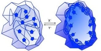 Responsive Materials Tuned by Anions