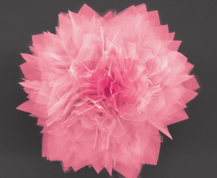 Researchers Create ‘Nanoflowers’ for Energy Storage, Solar Cells