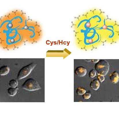 Smart phosphorescent bioprobes