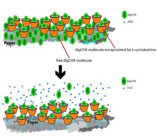 Antibacterial paper for long-term release applications