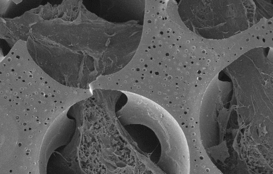 Bone repair: new templating technique for hydrogel scaffold