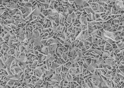 Growing nanosheets for supercapacitor electrodes