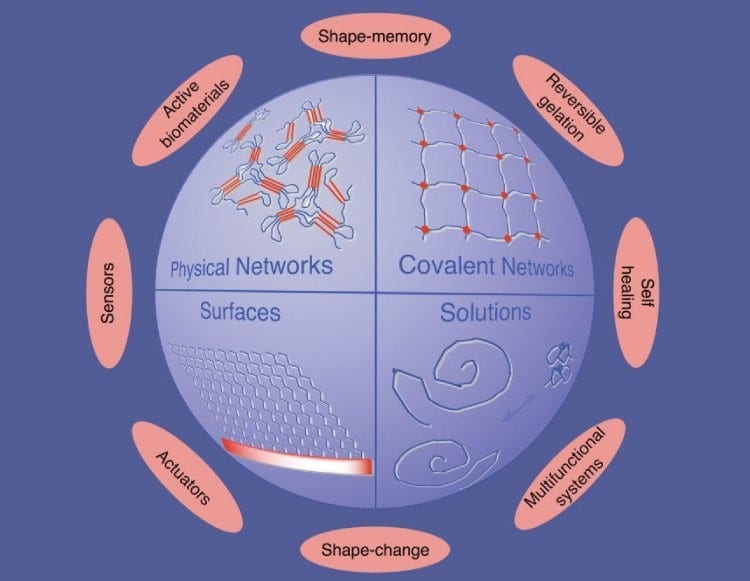 Advances in Actively Moving Polymers