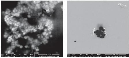 Size Effects of Silver Nanoparticles