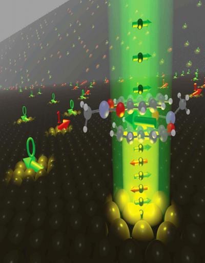 Cobalt/organic nanomagnets for molecular electronics