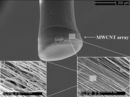 New biosensor monitors water quality