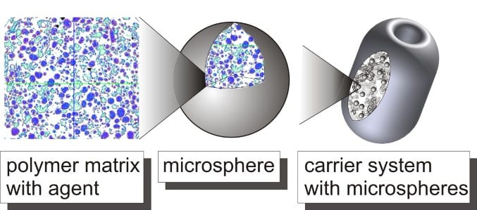 Polymer microspheres for drug delivery to the bladder