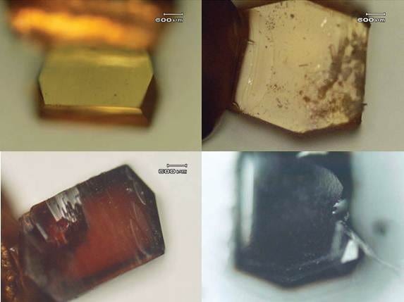 Plasmonic Response of Metal-Infiltrated Protein Crystals