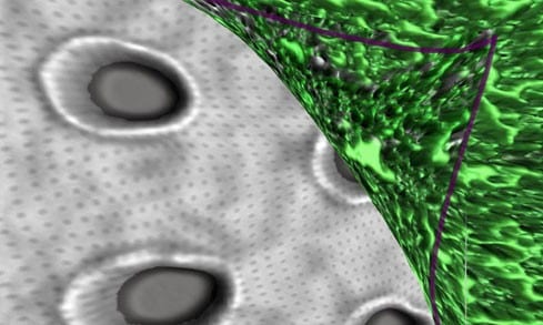 Novel Material Knocks Bacteria Away