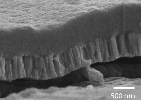 Improving implant bone bonding with bioactive film coating