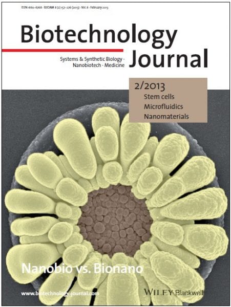 Nanobiotech or bionanotech: what's the difference?