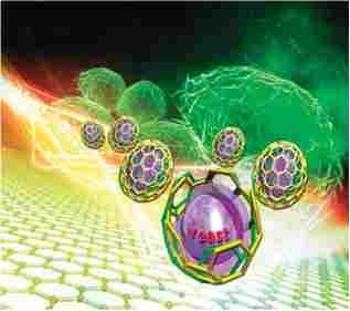 Interfacing Living Cells with Nanomaterials