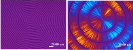 Non-birefringent and Birefringent Ring-Banded Spherulites in PLLA Thin Films