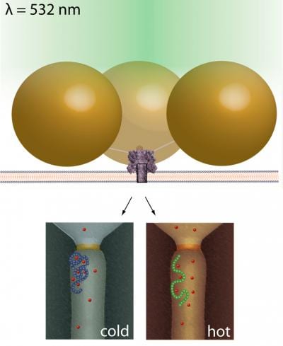 Nanopores have potential for disease detection