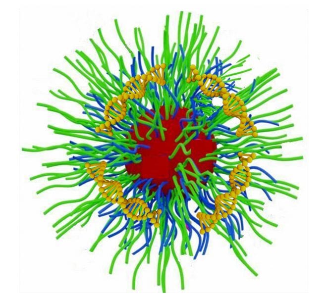 siRNA delivery by polymeric micelles for tumor treatment