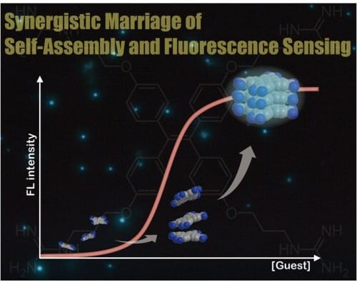 Synergistic marriage of fluorescence sensing and molecular self-assembly