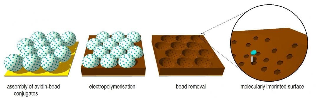 Nanosphere lithography towards selective protein recognition