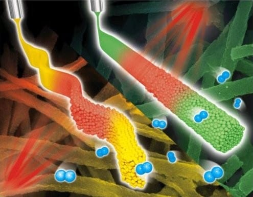 Special Issue on Functional Nanofibers