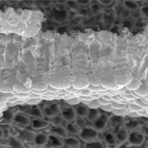 Cell instructive material made from titanium oxide nanotubes