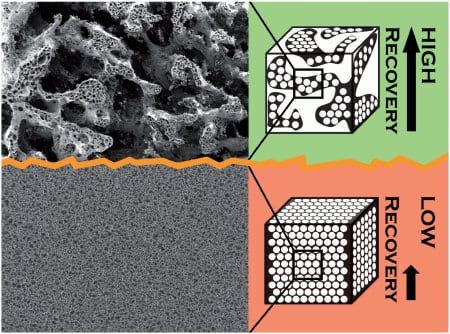 The shape-memory effect in polymers