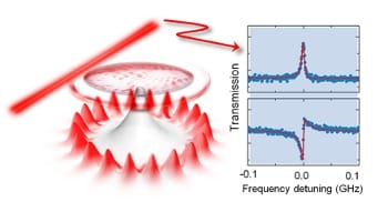 Tunnelling-induced transparency in a chaotic microcavity