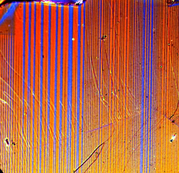 Investigating magnetism in iron-based superconductors