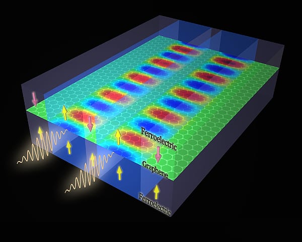 Combining ferroelectrics and graphene for data storage