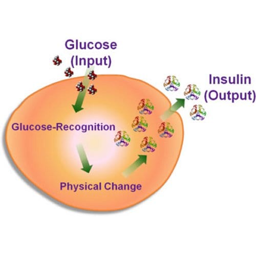 Self-Regulated Insulin Delivery