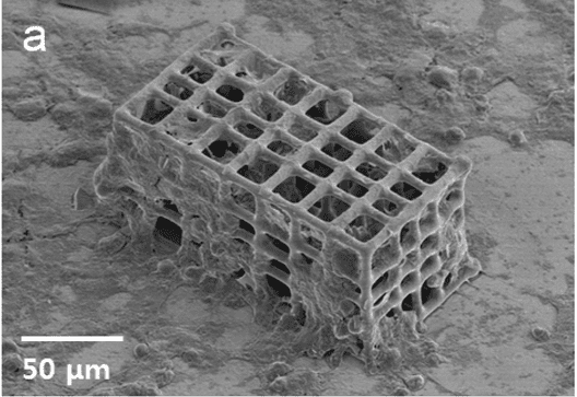 Porous microrobots born of lasers