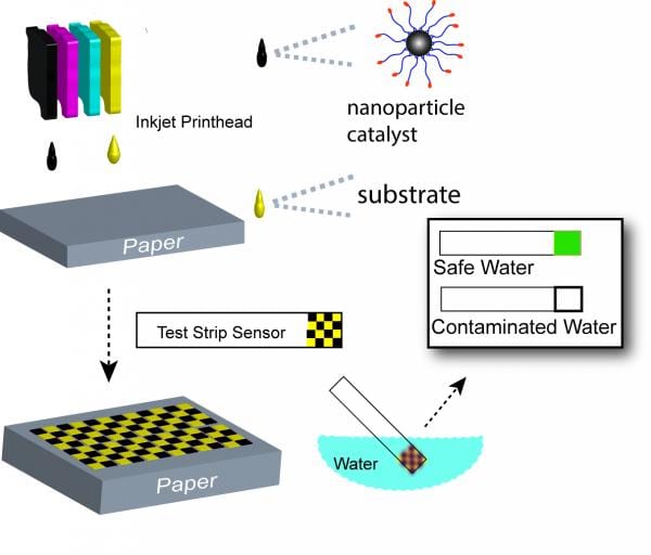 Funding for nanotech water-borne disease research