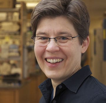 Professor Jennifer Lewis: a profile
