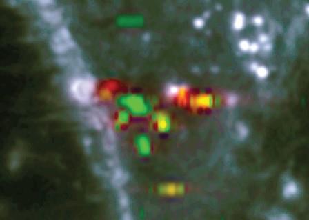 Raman spectroscopy pixel by pixel