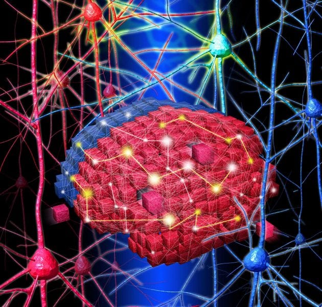 Brain Blocks: Fabricating 3D Neural Networks In Vitro