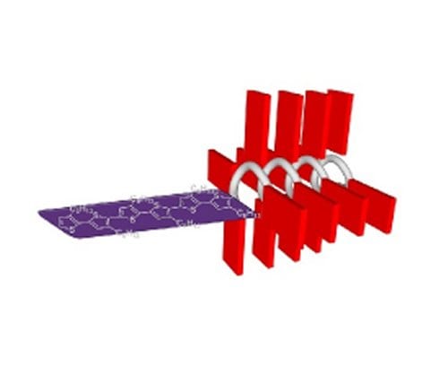 Donor-acceptor diblock copolymers for polymer solar cells