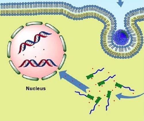 Polypeptide-based polymersomes with great potential for cancer therapy