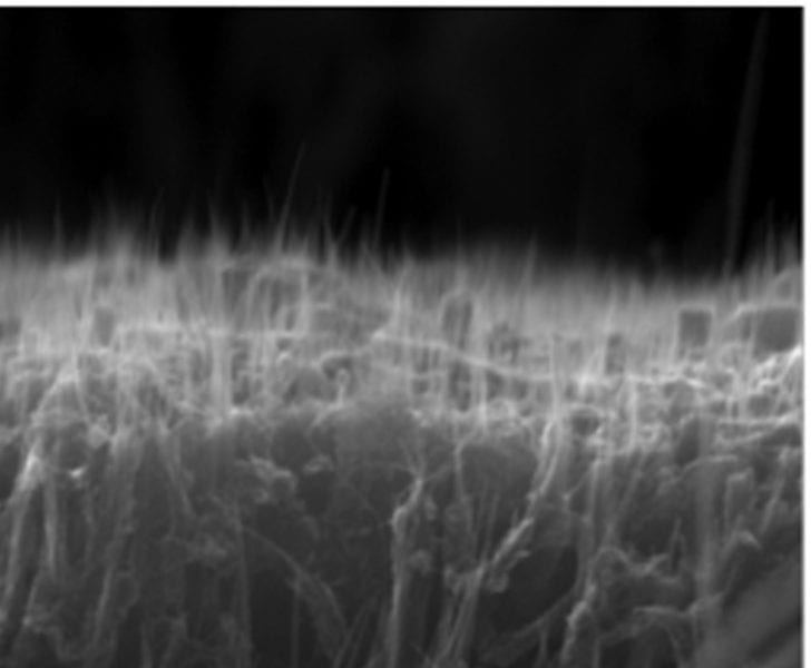 Carbon nanotubes toughen up boron carbide