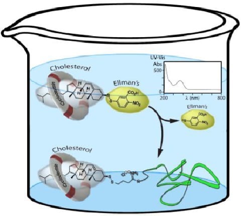 Cholesterol-conjugated (bio)polymers via UV-vis traceable chemistry