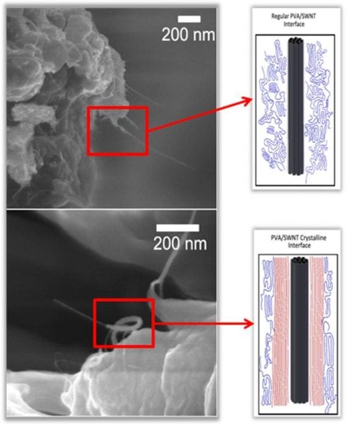 Crystalline polymer-nanotube interphase structures