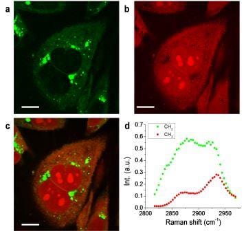 More Information from Raman Scattering