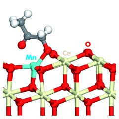 The challenge of strongly correlated electrons in catalysis